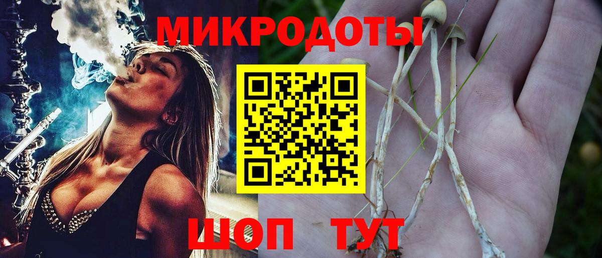 Галлюциногенные грибы мухоморы Петровск