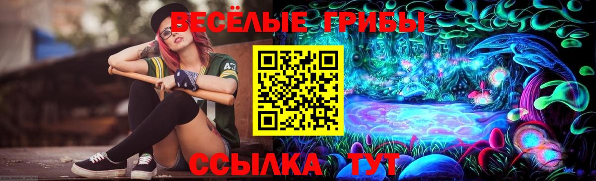 Псилоцибиновые грибы мицелий  Галлюциногенные грибы мицелий  Вход с VPN  Петровск 