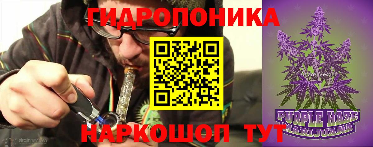 Конопля тримм  Конопля OG Kush  Каннабис MAZAR  Петровск  Вход с VPN 